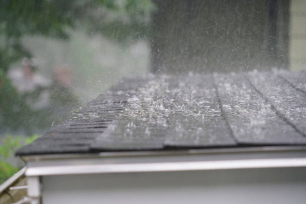 Best Roof Insulation Installation  in Willard, OH